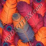 Colour:J