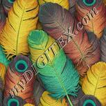 Colour:K
