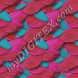 Colour:B