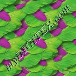 Colour:D