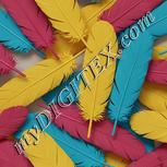 Colour:A