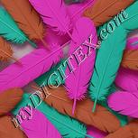 Colour:B