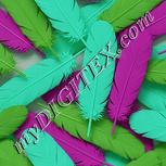 Colour:C