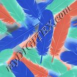 Colour:F