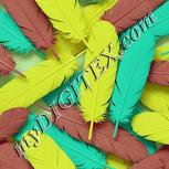 Colour:K