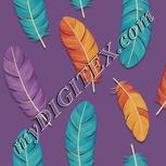 Colour:A