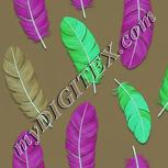 Colour:C