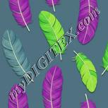 Colour:D