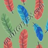Colour:F