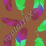 Colour:C