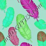 Colour:C