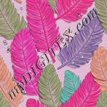 Colour:B