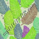 Colour:D