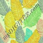 Colour:K