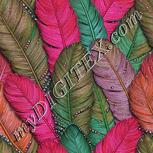 Colour:B