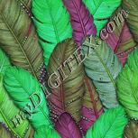 Colour:C