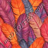 Colour:J