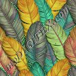 Colour:K