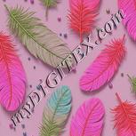 Colour:B