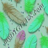 Colour:C
