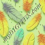 Colour:K