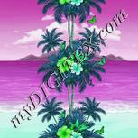Colour:C