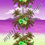 Colour:D