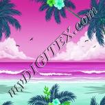 Colour:C