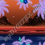 Colour:F