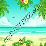 Colour:K