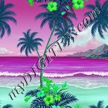 Colour:C
