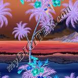Colour:F