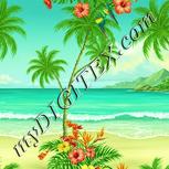 Colour:K