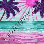 Colour:B