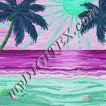 Colour:C