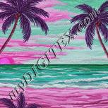 Colour:B