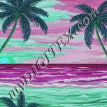 Colour:C
