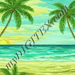 Colour:K