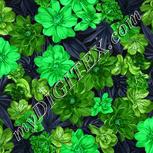 Colour:C