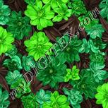 Colour:D