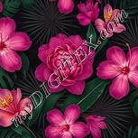 Colour:A