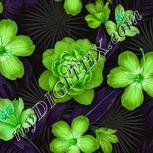 Colour:C