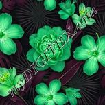 Colour:D
