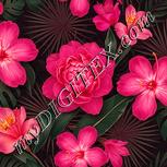 Colour:J