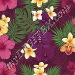 Colour:A