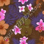 Colour:B