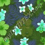 Colour:C