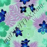 Colour:F
