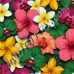 Colour:A