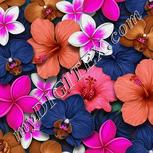 Colour:B